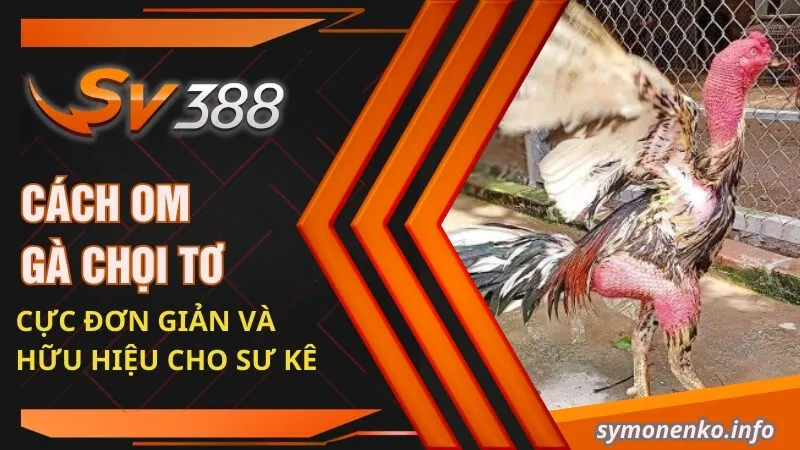 cách om gà chọi tơ