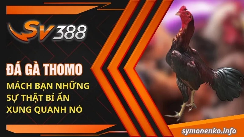 đá gà Thomo