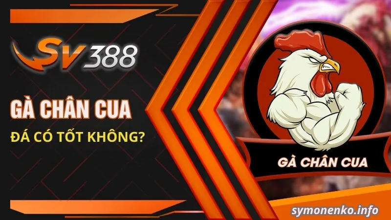 Gà chân cua đá có tốt không?