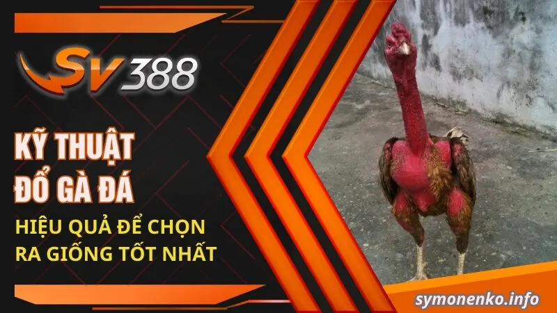 ky thuat do ga da hieu qua de chon ra giong tot nhat