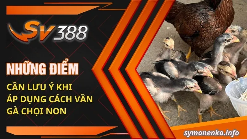 Những điểm cần lưu ý khi áp dụng cách vần gà chọi non