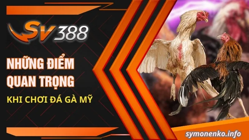 Những điểm quan trọng khi chơi đá gà Mỹ