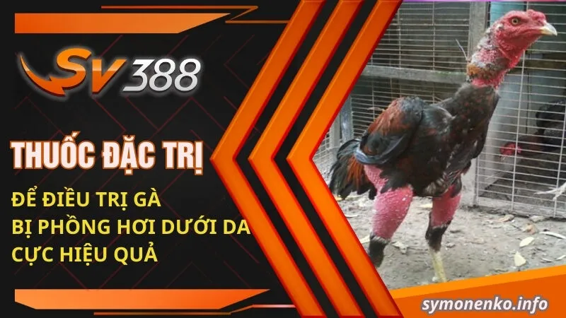 Thuốc đặc trị để điều trị gà bị phồng hơi dưới da cực hiệu quả