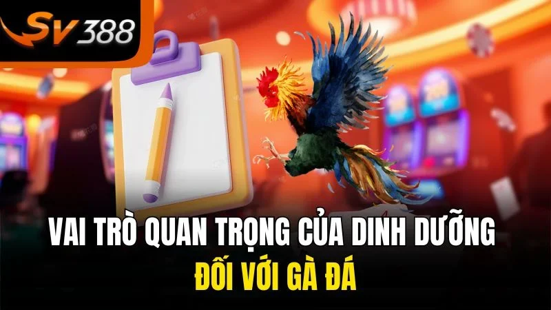 Vai trò quan trọng của dinh dưỡng đối với gà đá